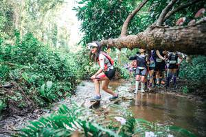 BIB: 
                            <button type="button" onclick="openModal(25514789)" class="btn btn-primary btn-sm float-right btn-popup" data-toggle="modal" data-target=".modal-high-quality">
                        <i class="fas fa-shopping-cart"></i> Add to Cart
                    </button>
                                            <button type="button" onclick="isThisMe(25514789, true)" class="btn btn-success btn-sm float-right btn-popup btn-isme hidden" data-toggle="tooltip" data-placement="bottom" title="นี่คือรูปของคุณใช่ไหม คลิกที่นี่เพื่อเอาเข้าอัลบั้ม">
                        <i class="fas fa-plus"></i> Add to album
                    </button>
                    <button type="button" onclick="isThisMe(25514789, false)" class="btn btn-warning btn-sm float-right btn-popup btn-isnotme hidden">
                        <i class="fas fa-ban"></i> Remove from album
                    </button>